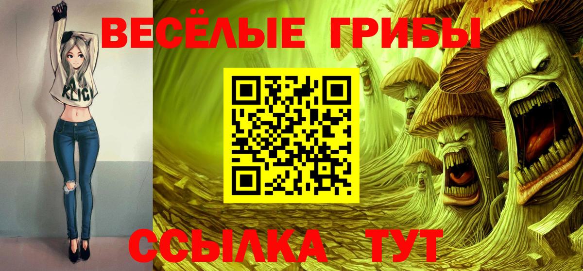 Галлюциногенные грибы Psilocybe  Вход с VPN  Галлюциногенные грибы мицелий  Коряжма 