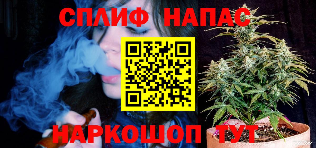 Бошки Шишки ГИДРОПОН Коряжма